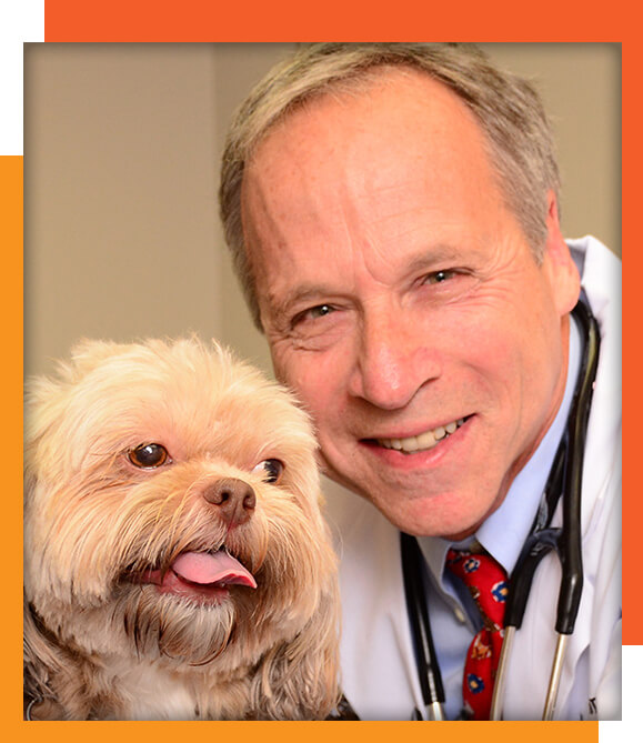 east-bay-veterinarian-ny