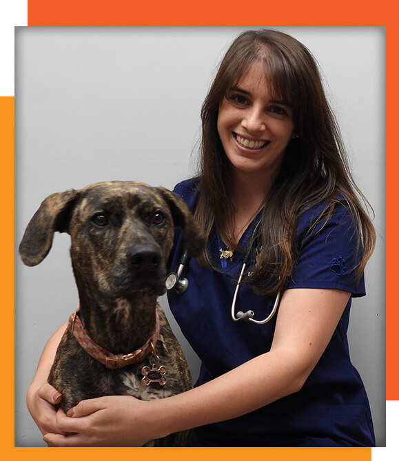 East Bay Veterinary Hospital in Merrick NY